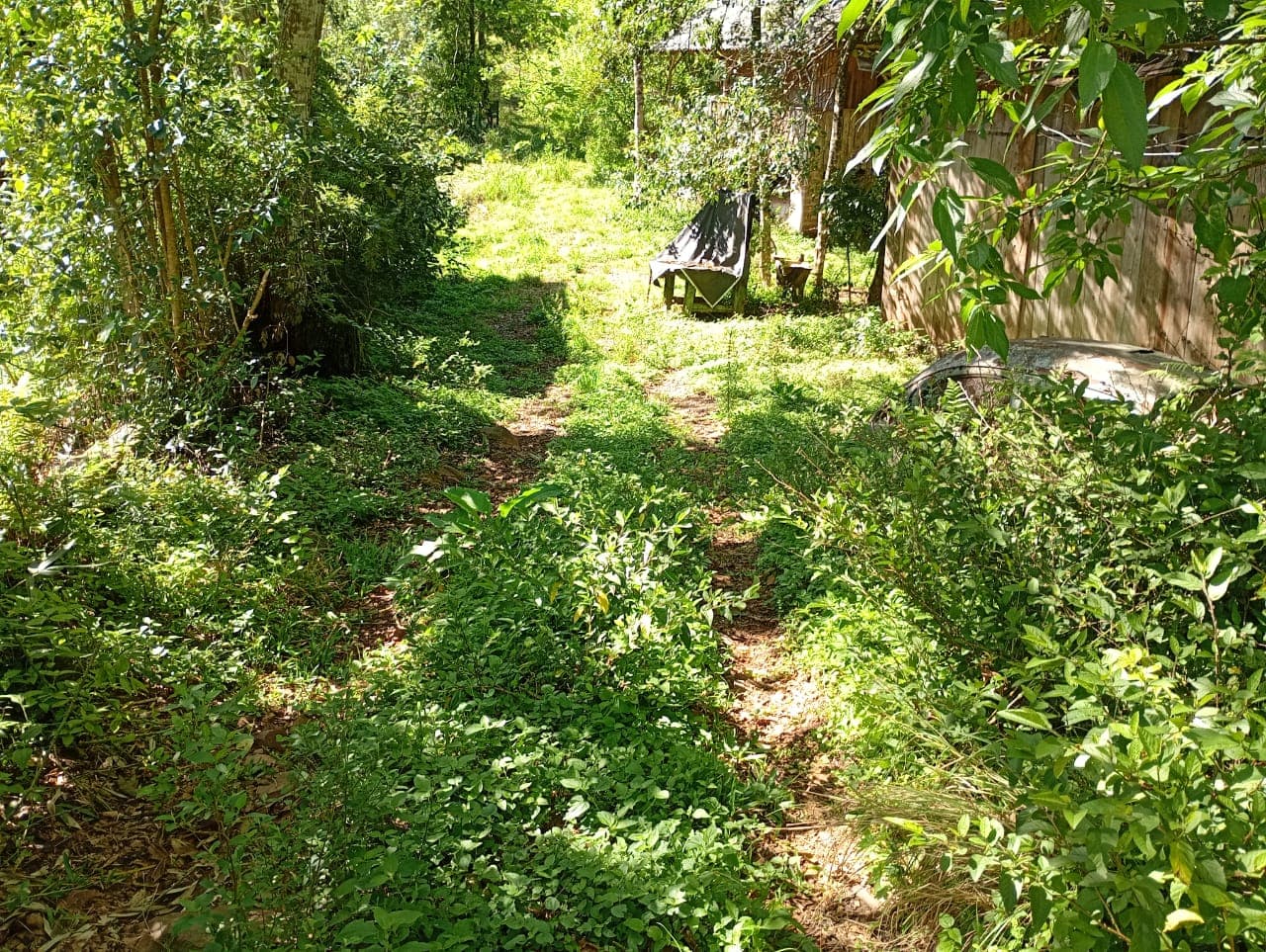 Terreno de 5.000m² com Casa Rústica na Pedra Branca da Furna