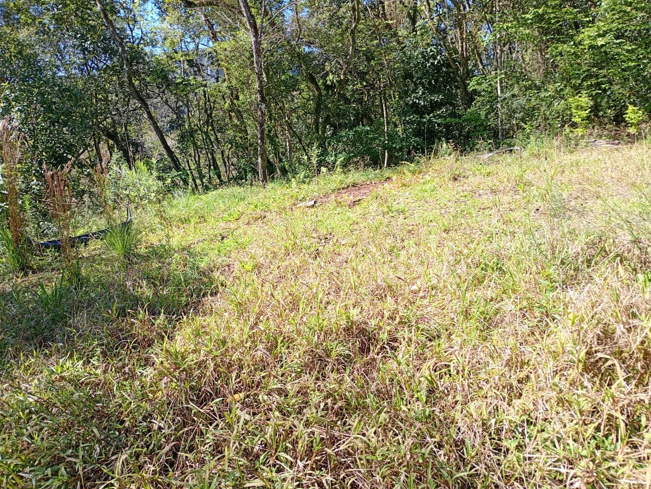 Terreno de 5.000m² com Casa Rústica na Pedra Branca da Furna