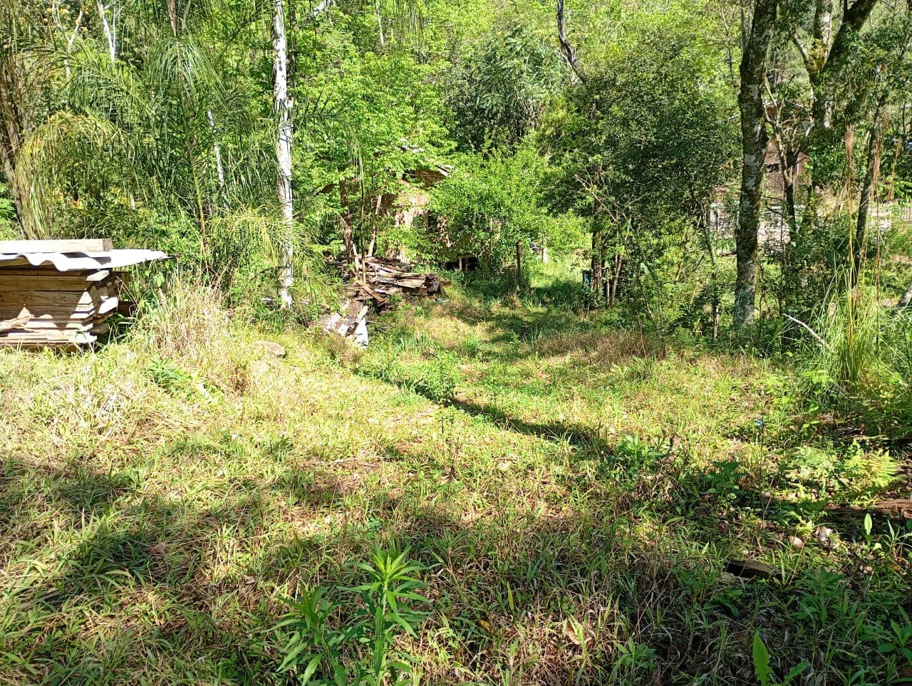 Terreno de 5.000m² com Casa Rústica na Pedra Branca da Furna